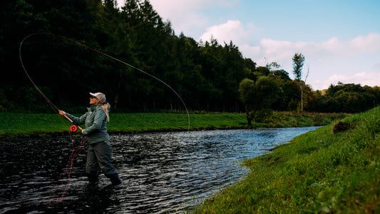 Wild Atlantic Salmon