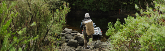Into The Heart of Fiordland